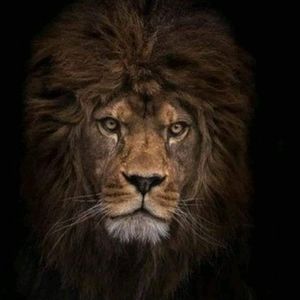 Meet your Posher, Stanley